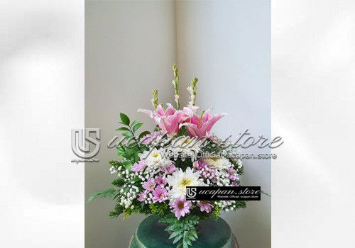 IMG-PRODUCT
