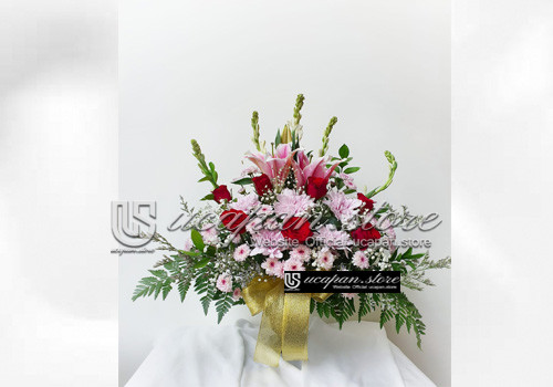 IMG-PRODUCT