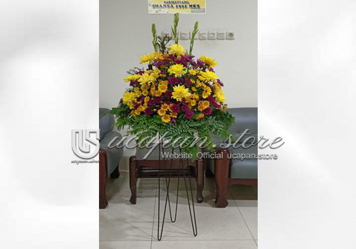 IMG-PRODUCT